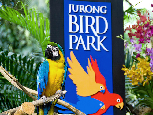 Vườn chim Jurong